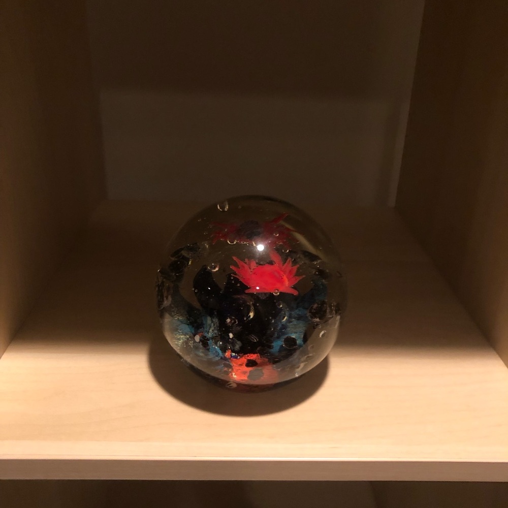 Glass Aquarium Sphere